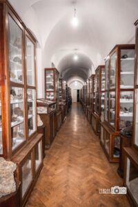 mineral_1.jpg.pagespeed.ce.HOWmnCSIYi