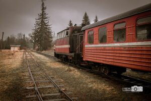 tram_4.jpg.pagespeed.ce.V_9G6dj70h